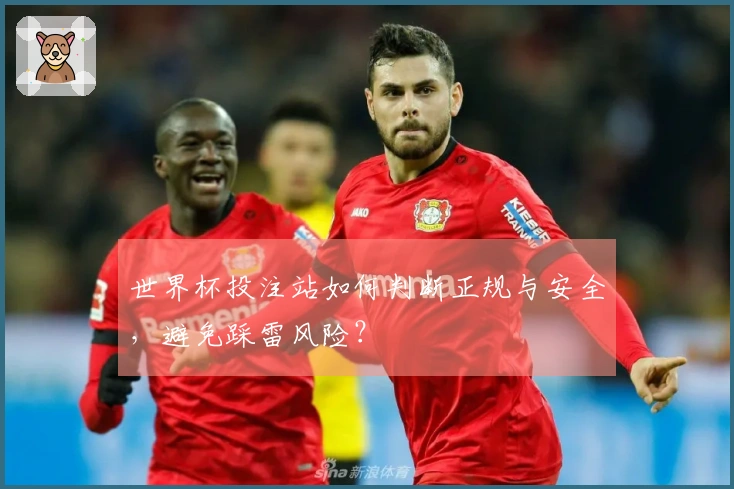 世界杯投注站如何判断正规与安全,避免踩雷风险?