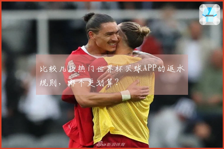 比较几款热门世界杯买球APP的返水规则，哪个更划算？